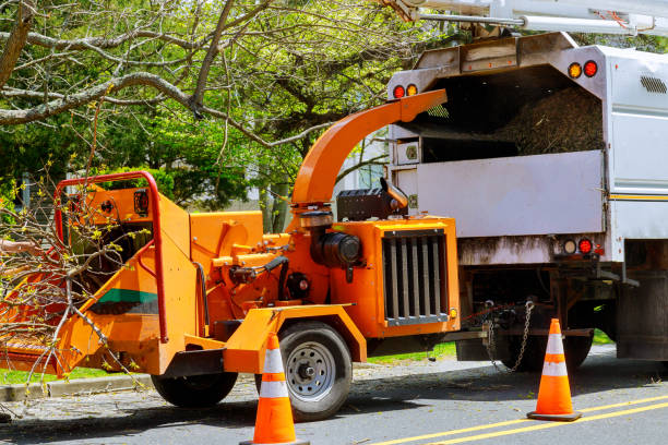 Best Tree Mulching  in Susanville, CA